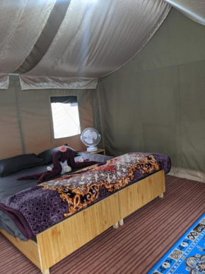 Soma Caves Tents